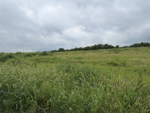 LAND - Pattonsburg, MO