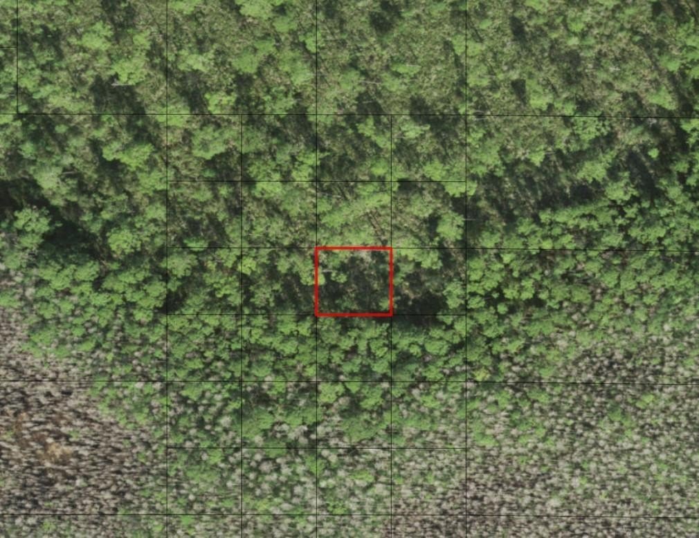 Land in Holopaw, St. Cloud