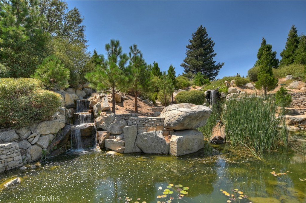 Picture 16