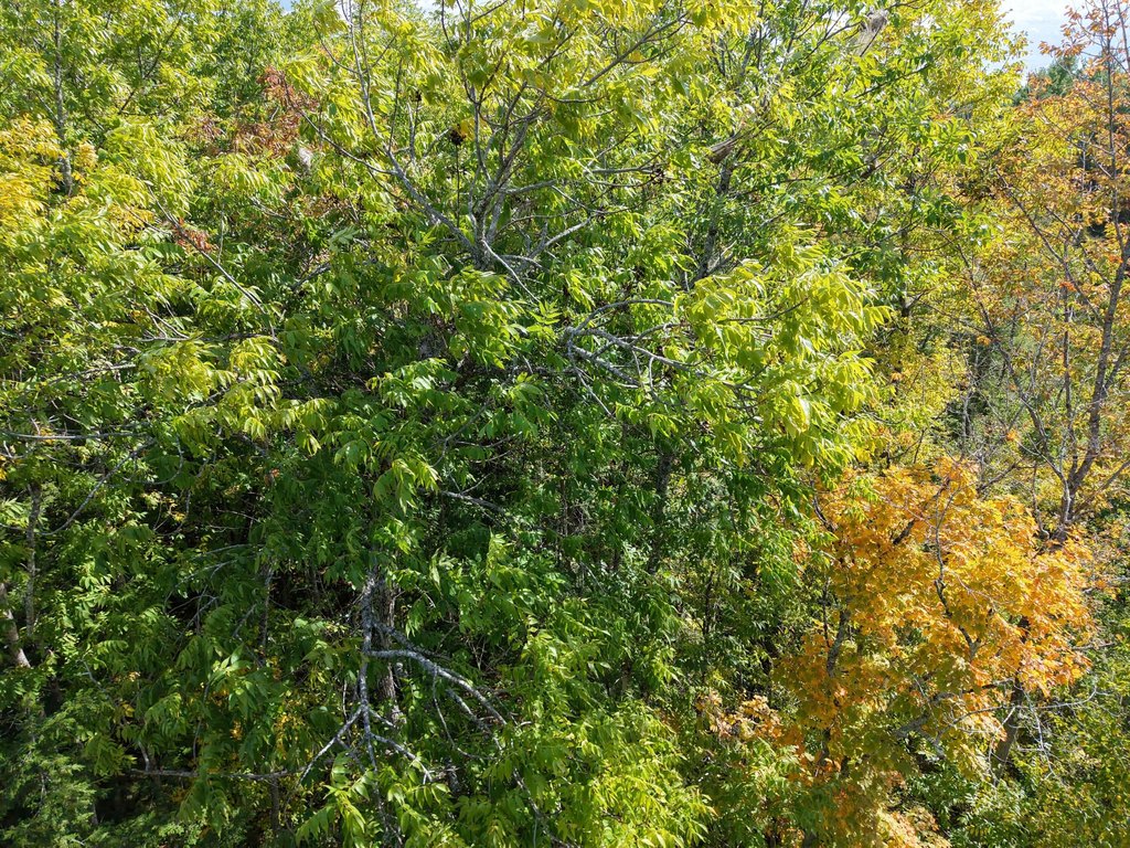 Picture 22