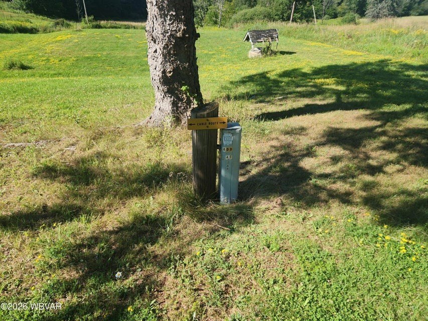 Picture 6