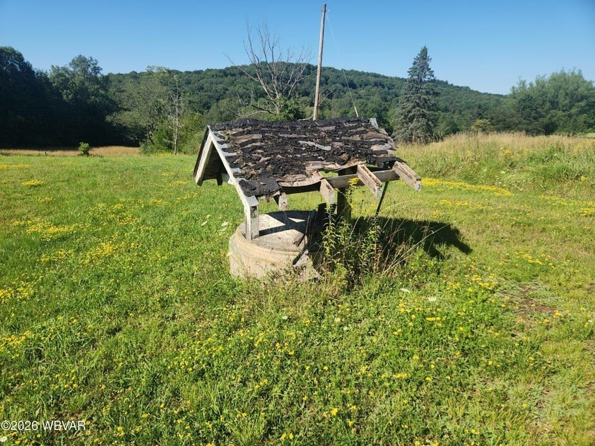 Picture 5