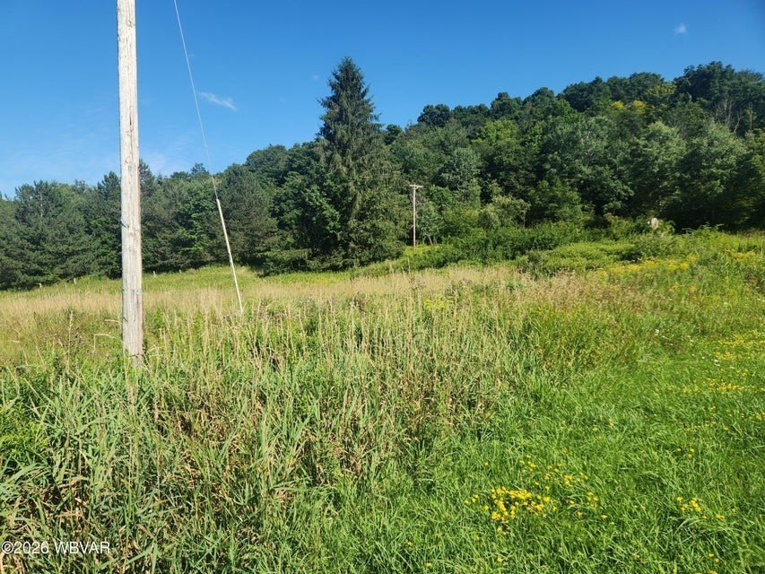 Picture 9
