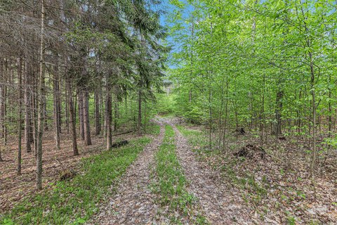 20 Acres of Wooded Land