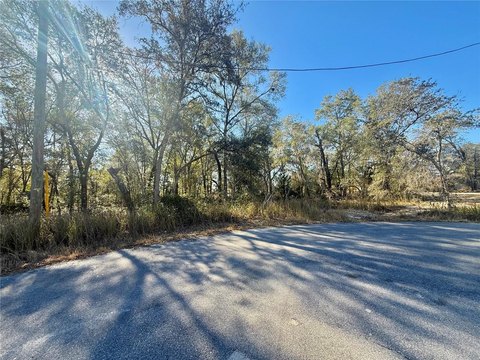 Residential Lot in Silver Spring Shores