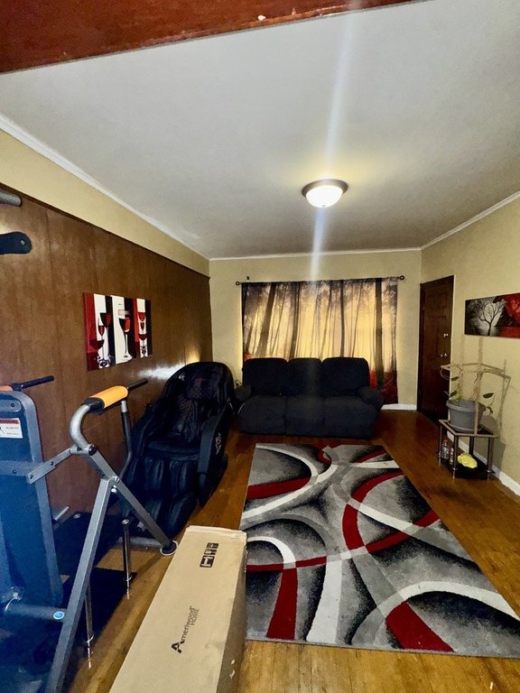 Picture 19