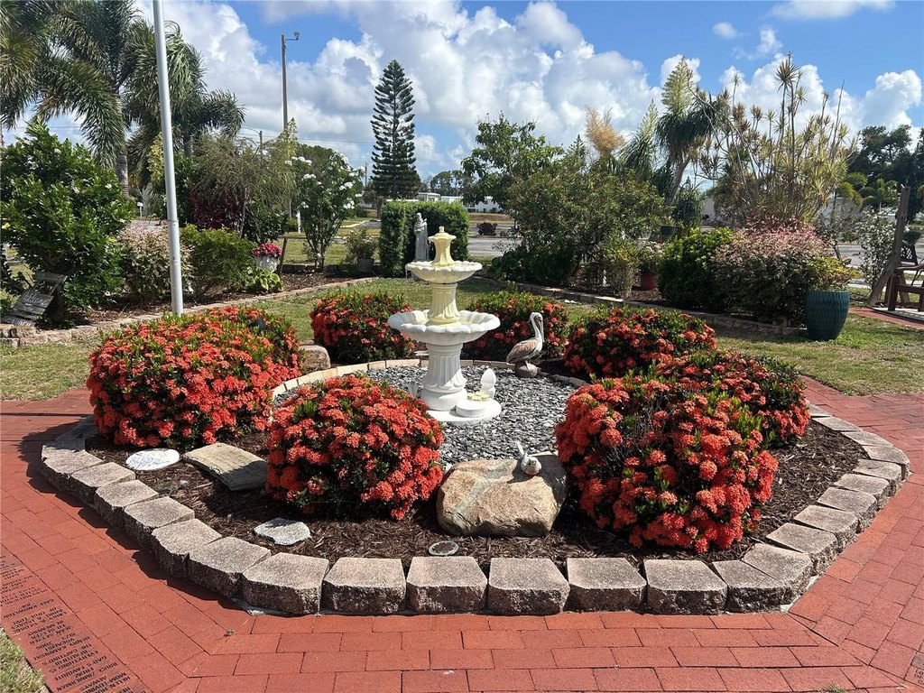 Picture 20