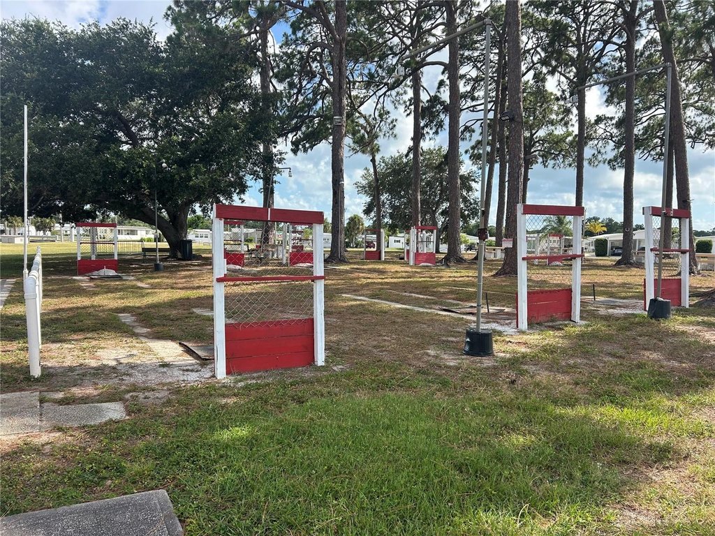 Picture 28