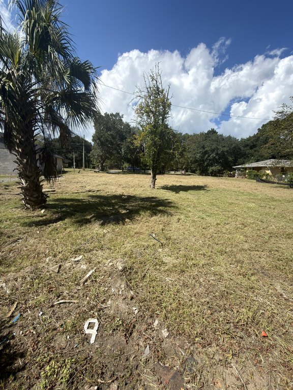 Picture 3