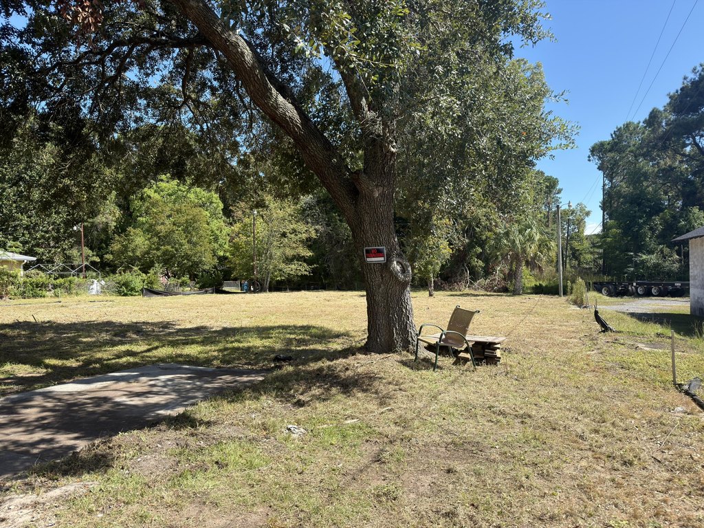 Picture 4