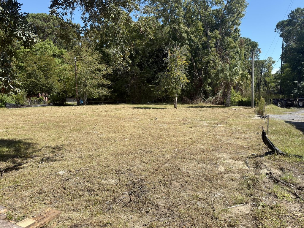Picture 6