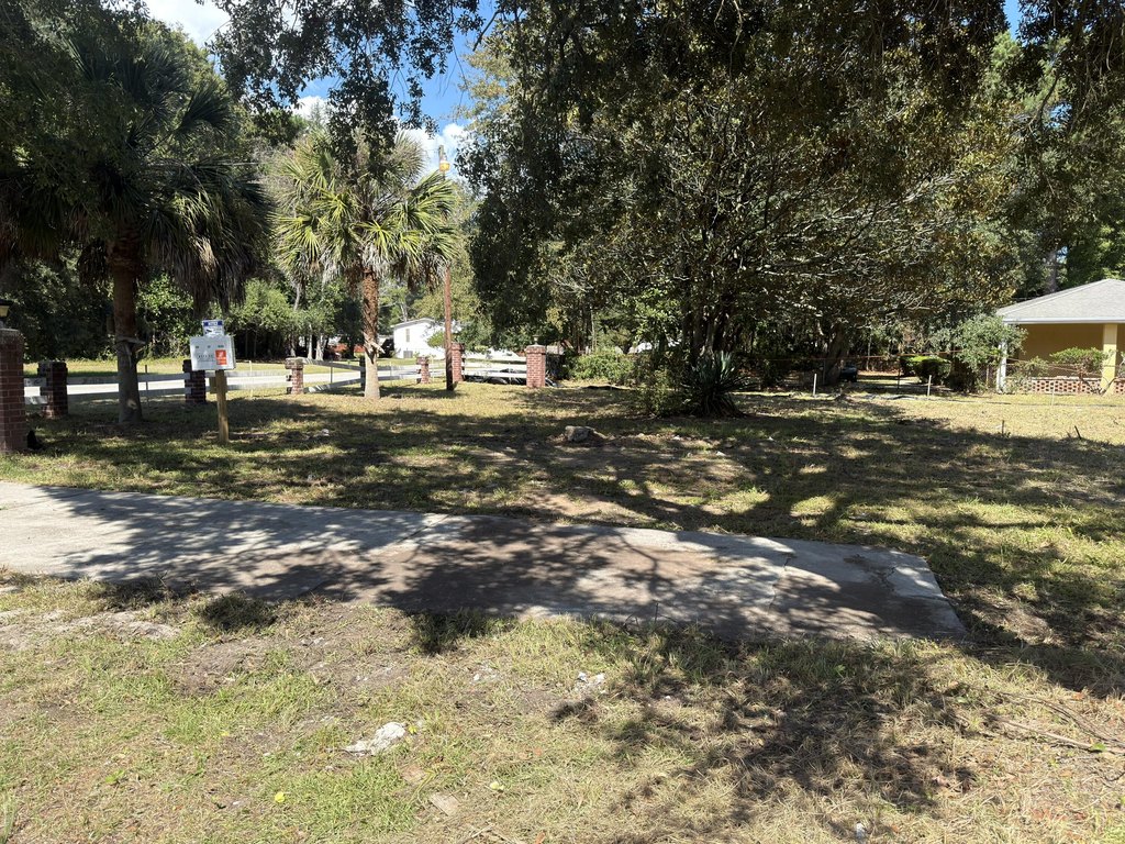 Picture 5