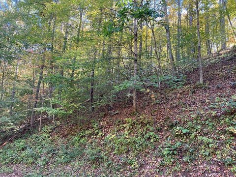 LAND - Butler, TN