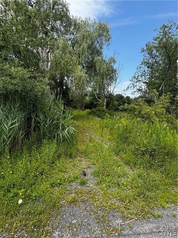 Vacant Land in East Syracuse