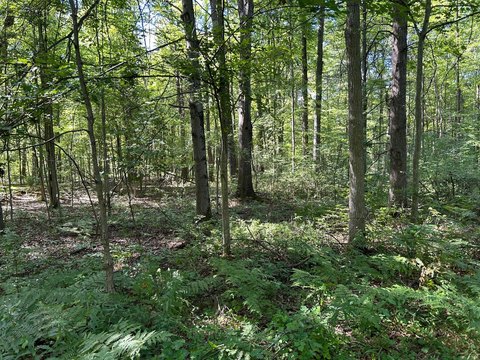 Shepherd, MI Wooded Acreage