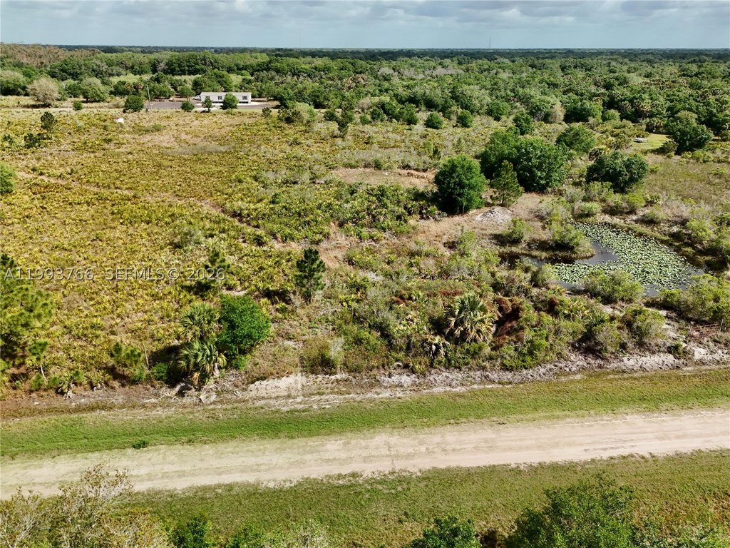Picture 30