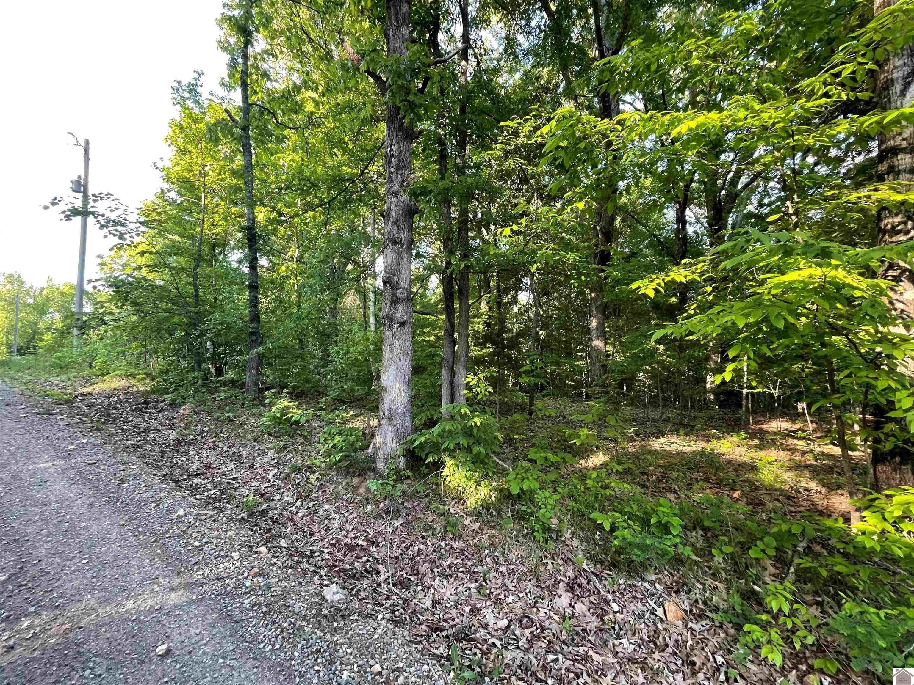 Residential Lots Near Lake Barkley