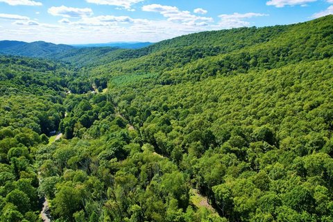 Forested Acreage Near National Forest