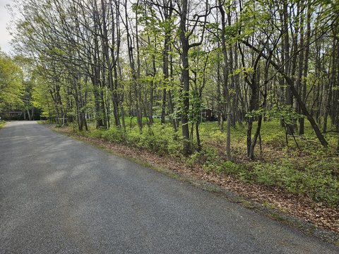 Residential Lot in Penn Forest