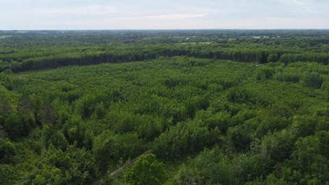 Secluded Hunting & Recreational Land