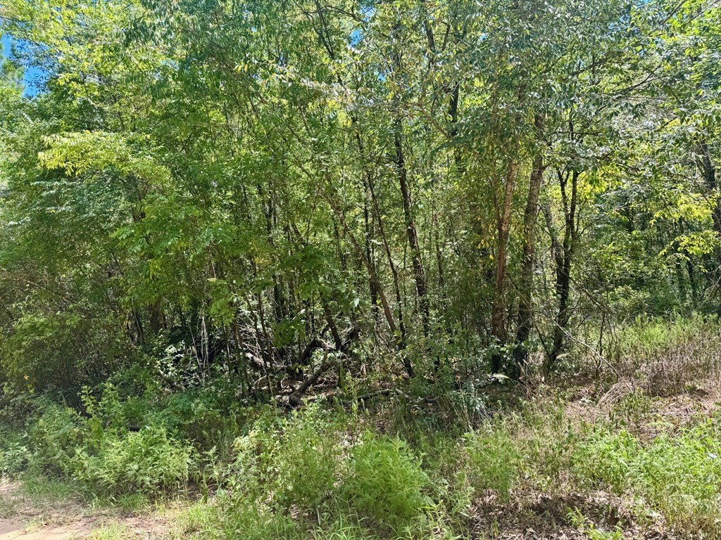 Picture 5