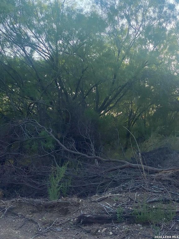 Picture 5