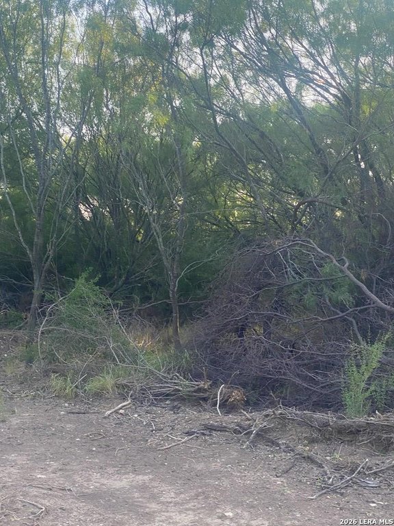 Picture 4