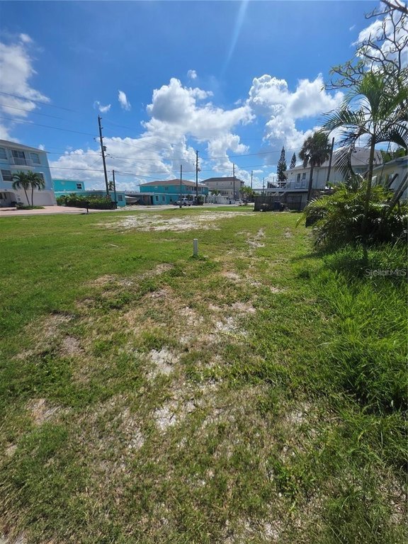 Picture 6