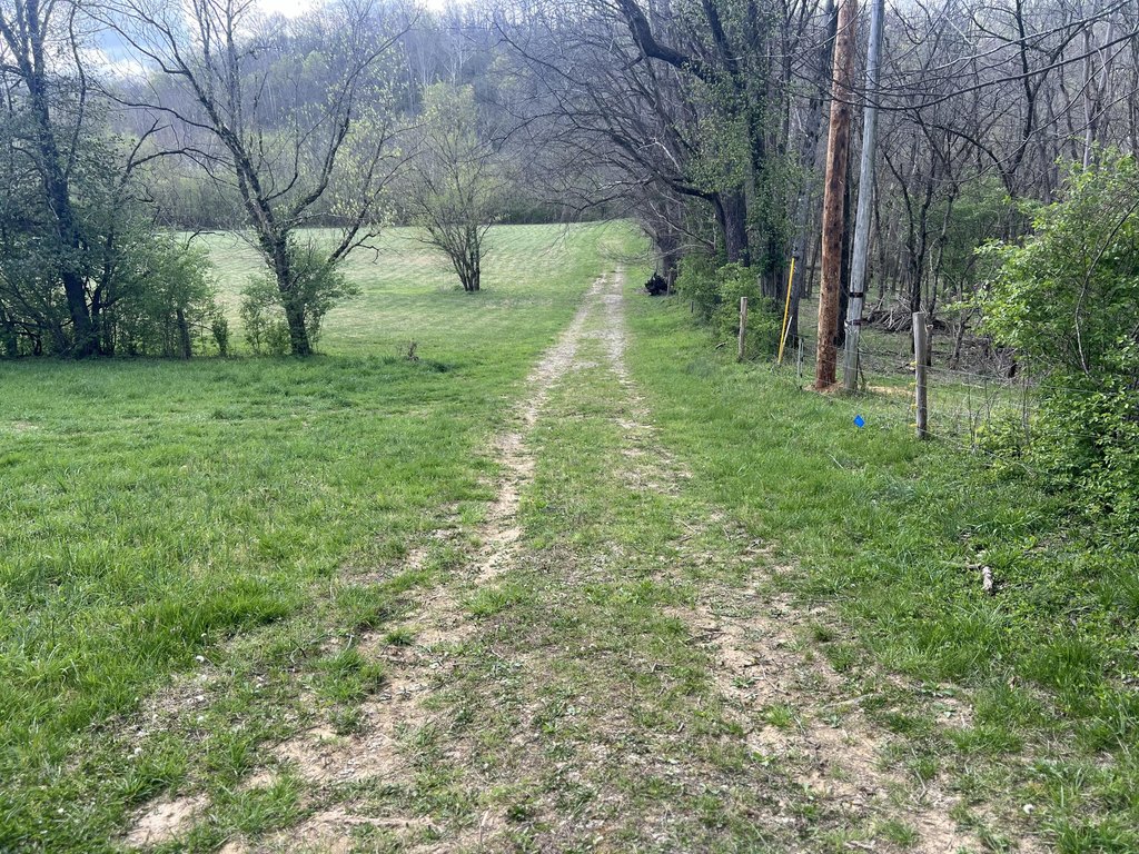 Picture 13