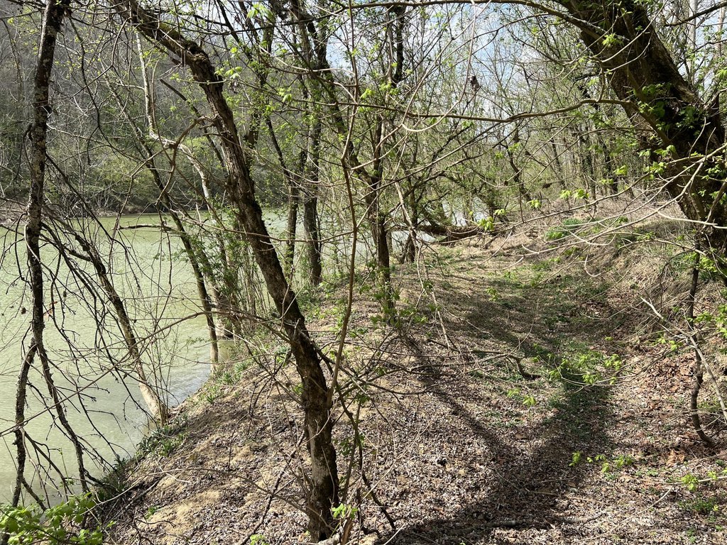 Picture 24