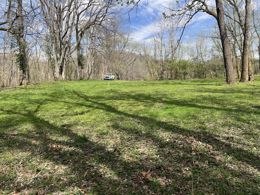 Picture 25
