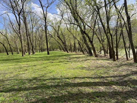 Secluded Wooded Recreational Lot