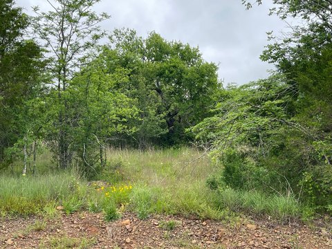 Wooded Land Near Antlers, OK