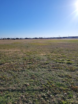 Land for Custom Home