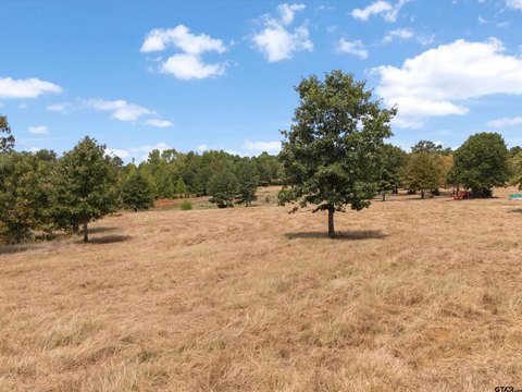 Land, Gilmer, TX