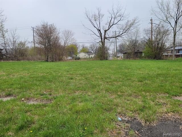 Picture 2