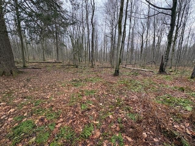 Wooded Land Near Cherry Springs