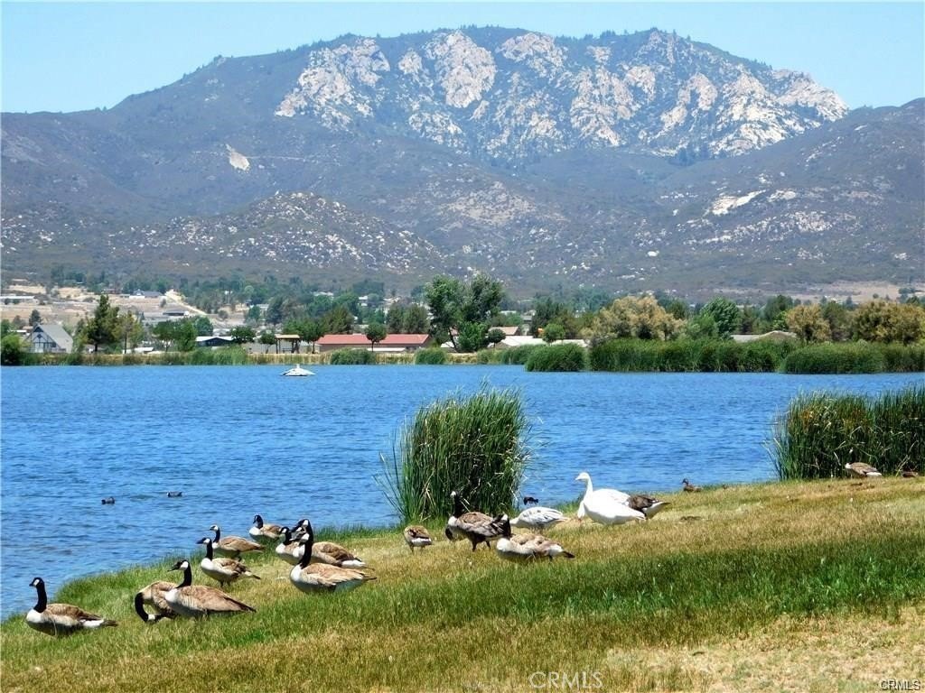 Picture 17