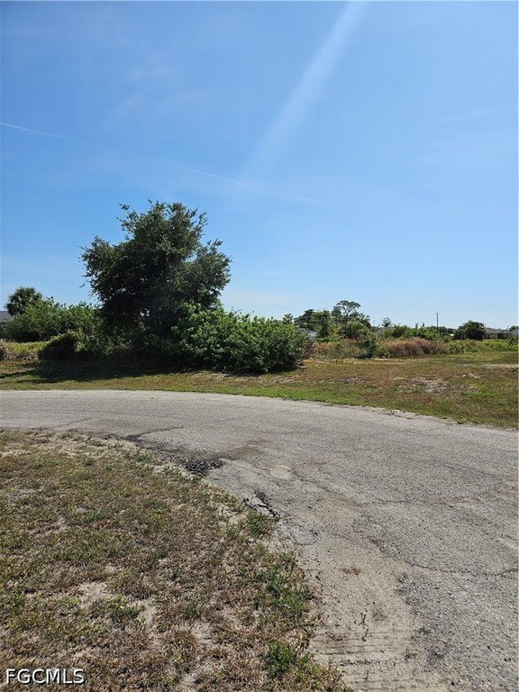 Picture 6