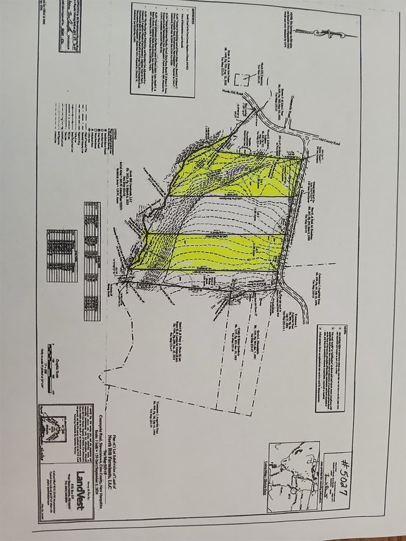Picture 17