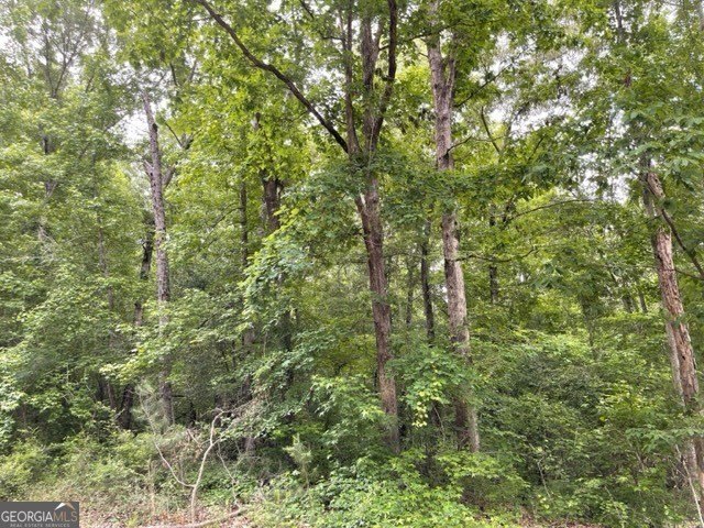 Land Near Lake Sinclair