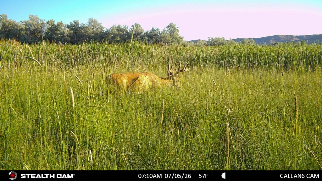 Picture 34