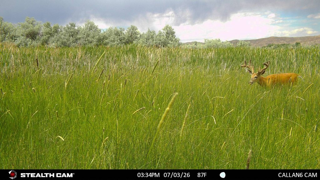 Picture 37