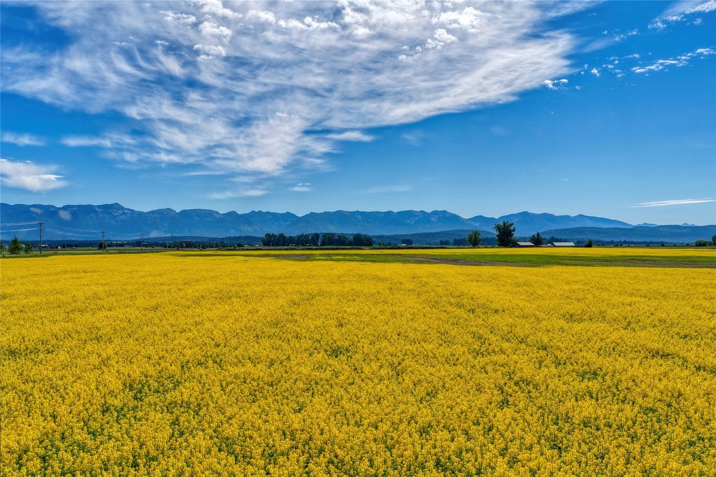 Picture 24
