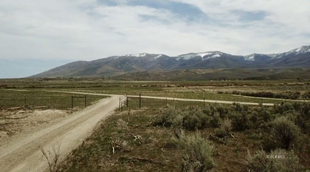 Picture 22