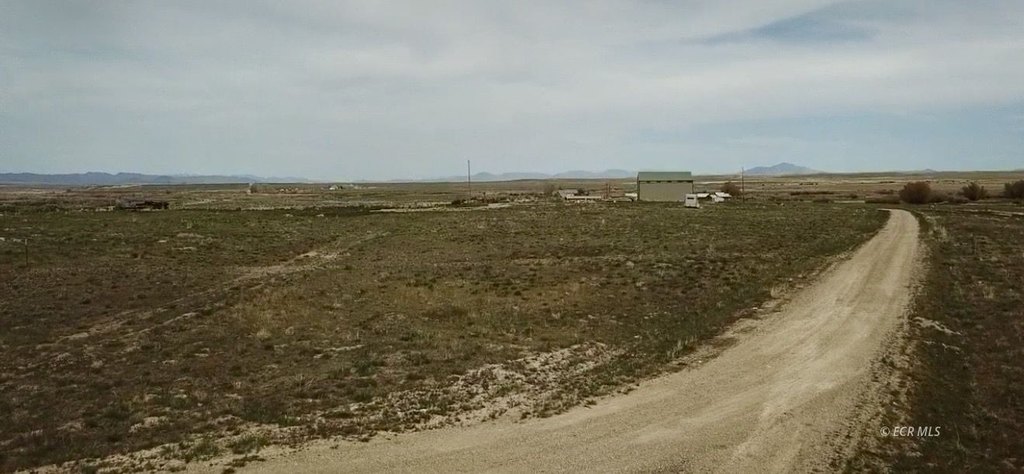 Picture 15