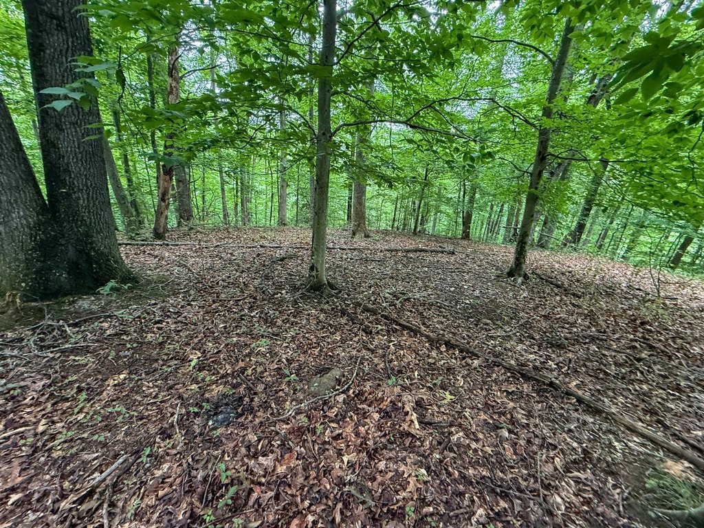 Picture 6