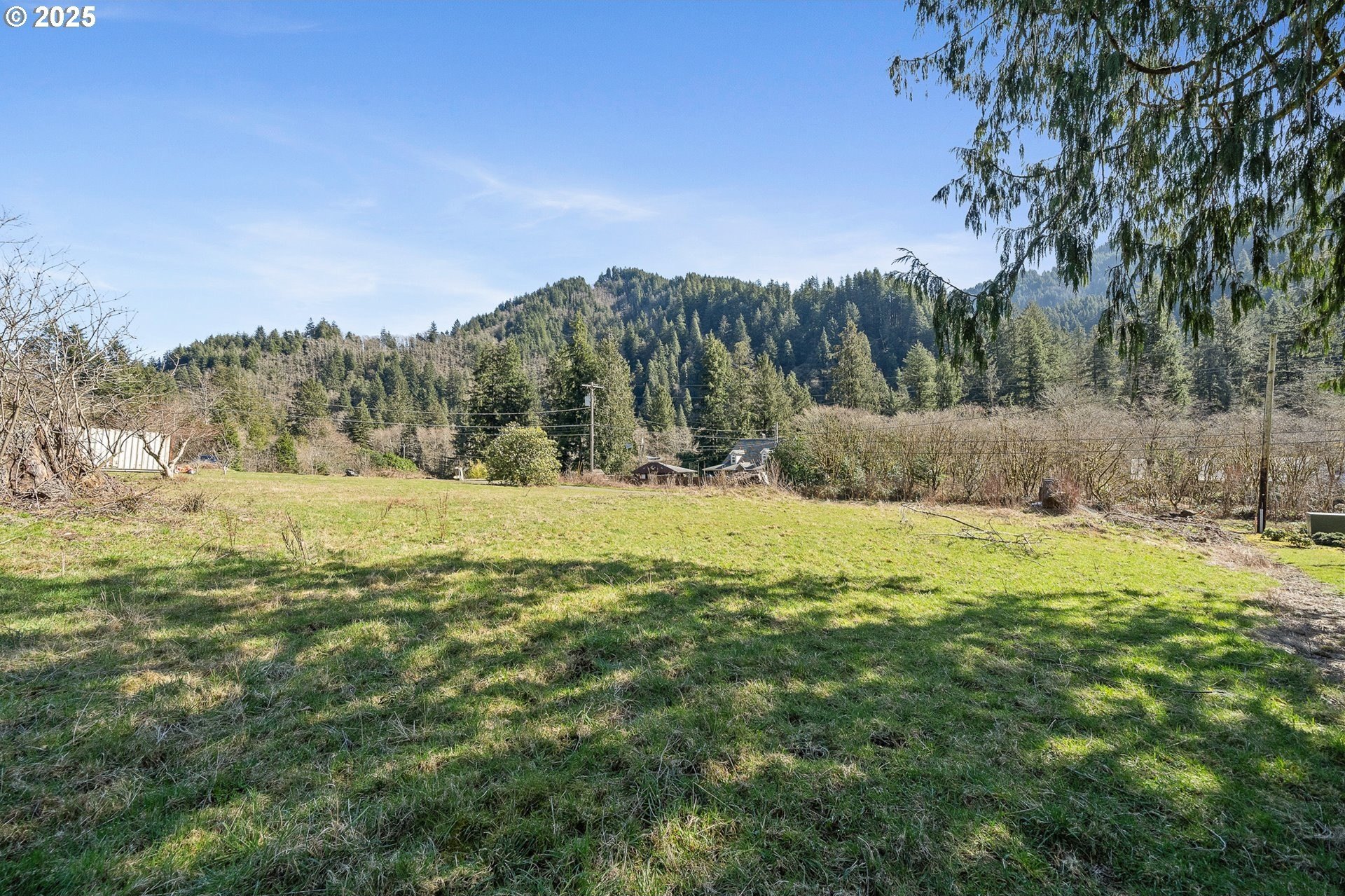 Tillamook Land with Mountain Views