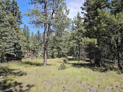 Wooded Land Near Monte Verde