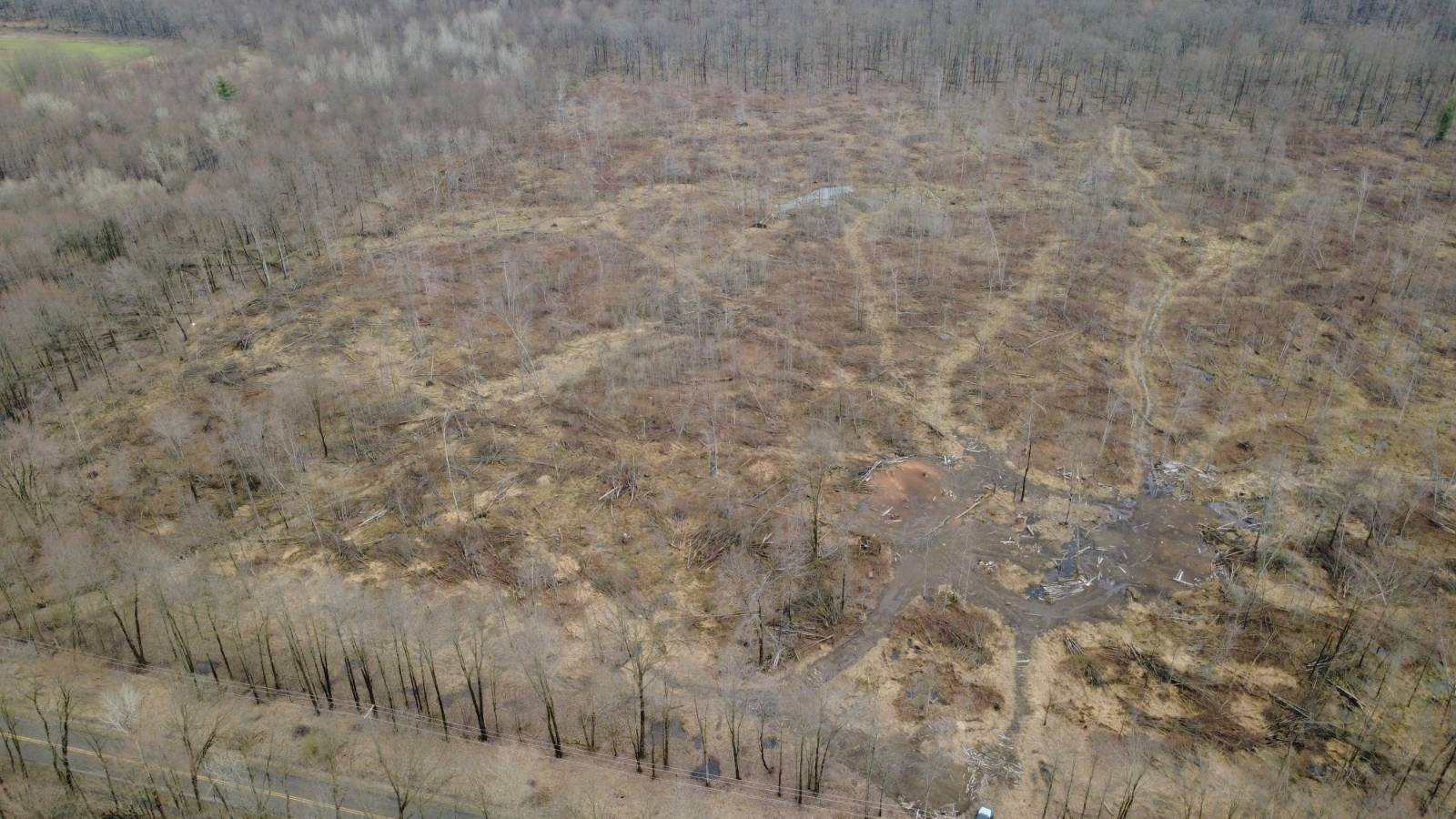 Meadville Vacant Land: Wildlife Haven